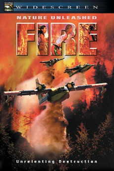 Fire (2004) download