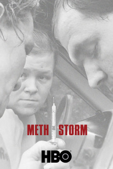 Meth Storm (2017) download