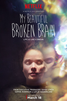 My Beautiful Broken Brain (2014) download