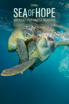 Sea of Hope: America's Underwater Treasures (2017) download
