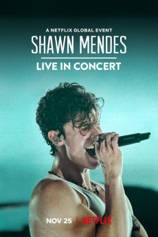 Shawn Mendes: Live in Concert (2020) download