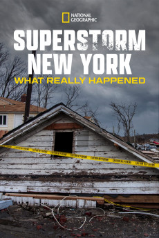 Superstorm New York: What Really Happened (2012) download