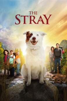 The Stray (2017) download
