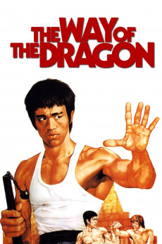 The Way Of The Dragon 1972 Yify Download Movie Torrent Yts