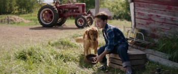 A Dog's Purpose (2017) download