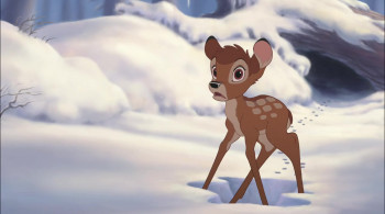Bambi and the Great Prince of the Forest (2006) download