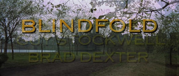 Blindfold (1965) download