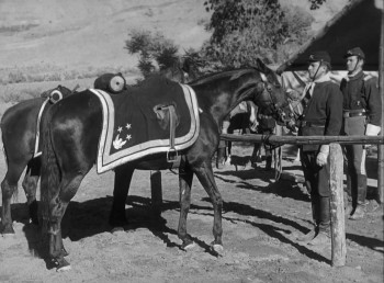 Cavalry 3: Rio Grande (1950) download