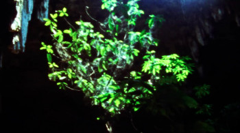Cenote (2019) download