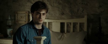 Harry Potter and the Deathly Hallows: Part 2 (2011) download